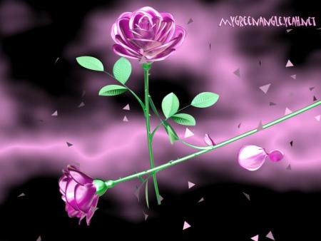 rose