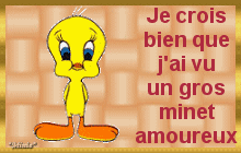 amour